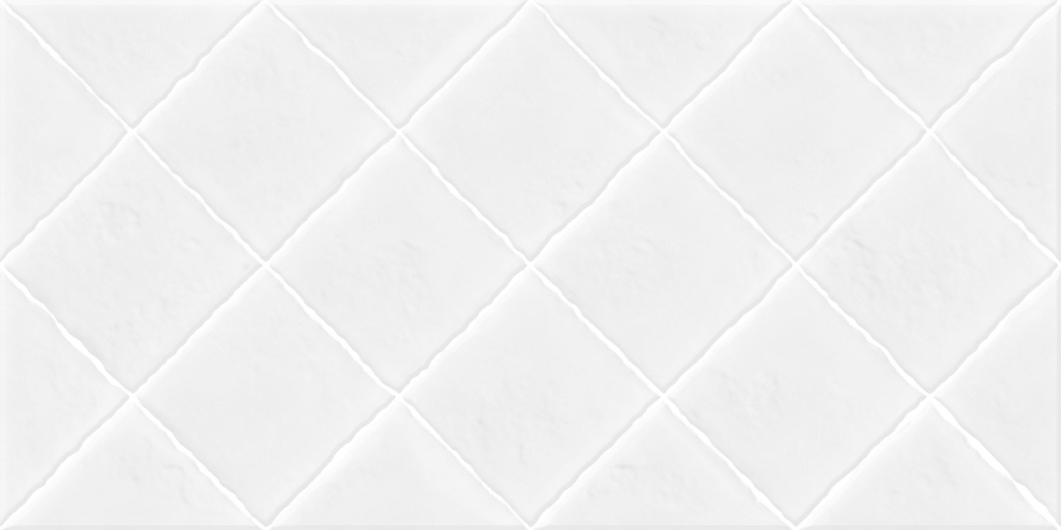 Плитка настенная Salvia 249x500 белая TWU09SVA000 фото