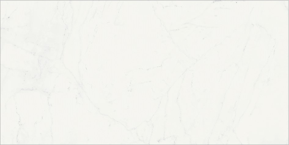 Керамогранит Charme Deluxe (Шарм Делюкс) Бьянко Микеланжело 800x1600 люкс белый фото