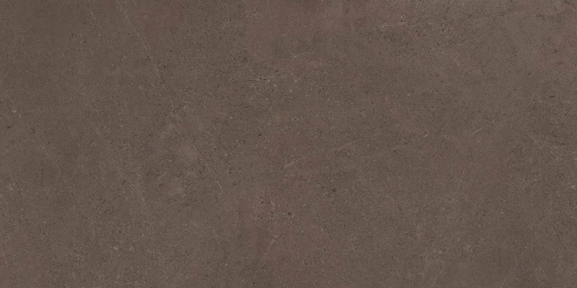 Керамогранит Gobi Brown Grey 600x1200 неполированный ректификат GO03 фото