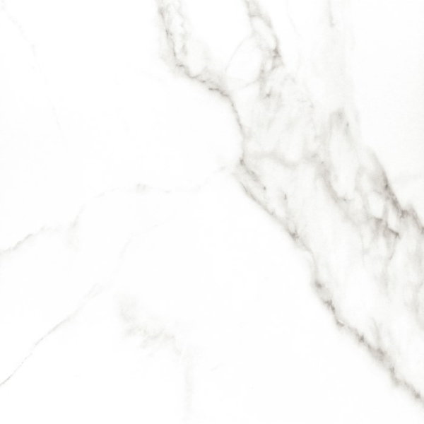 Керамогранит Carrara Premium white PG 01 600x600 белый 010400000635 фото