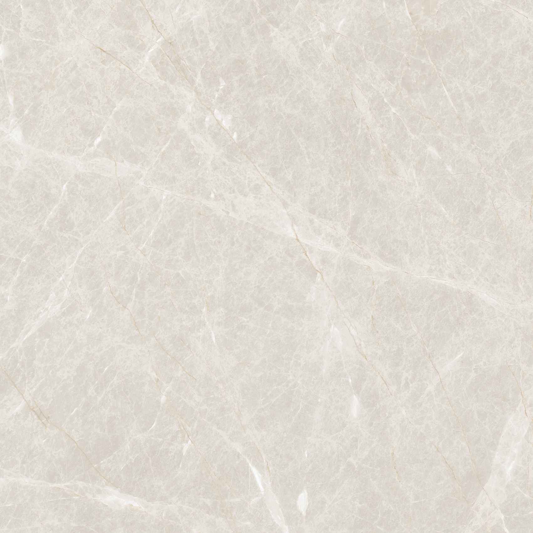 Керамогранит Liceo Pearl 600x600 matt ETSTN1226MT6060 фото