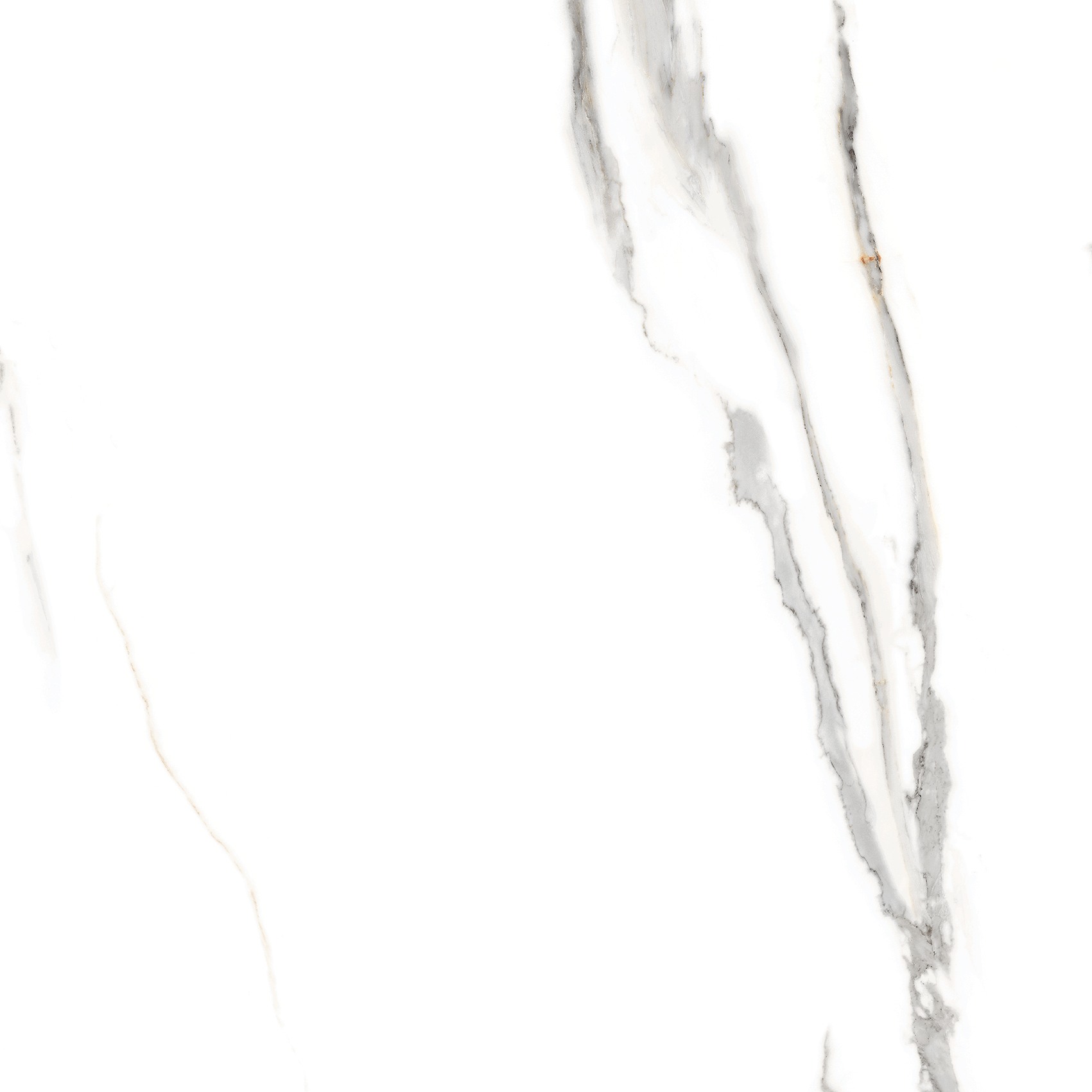 Керамогранит Statuario Rock 600x600 glossy ETMAR1219GL6060 фото