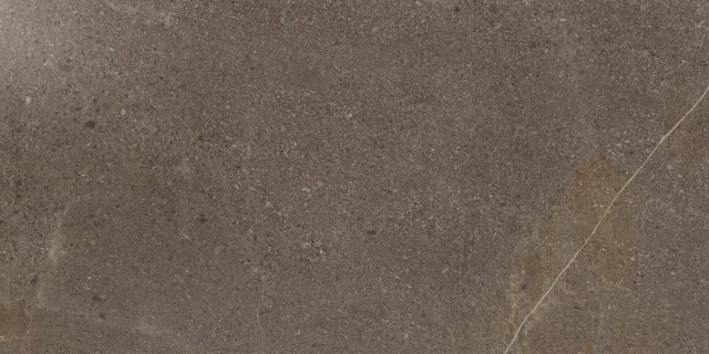 Керамогранит Contempora (Контемпора) Бёрн 300x600 патинированный коричневый Керамогранит Contempora (Контемпора) Бёрн 300x600 патинированный коричневый фото
